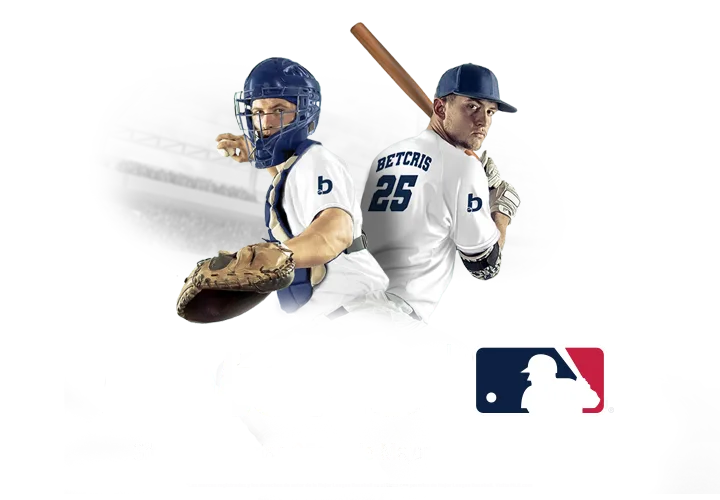 Jogo cricket